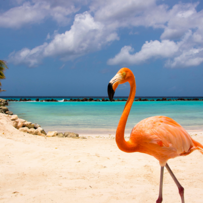 Aruba, “One happy island”